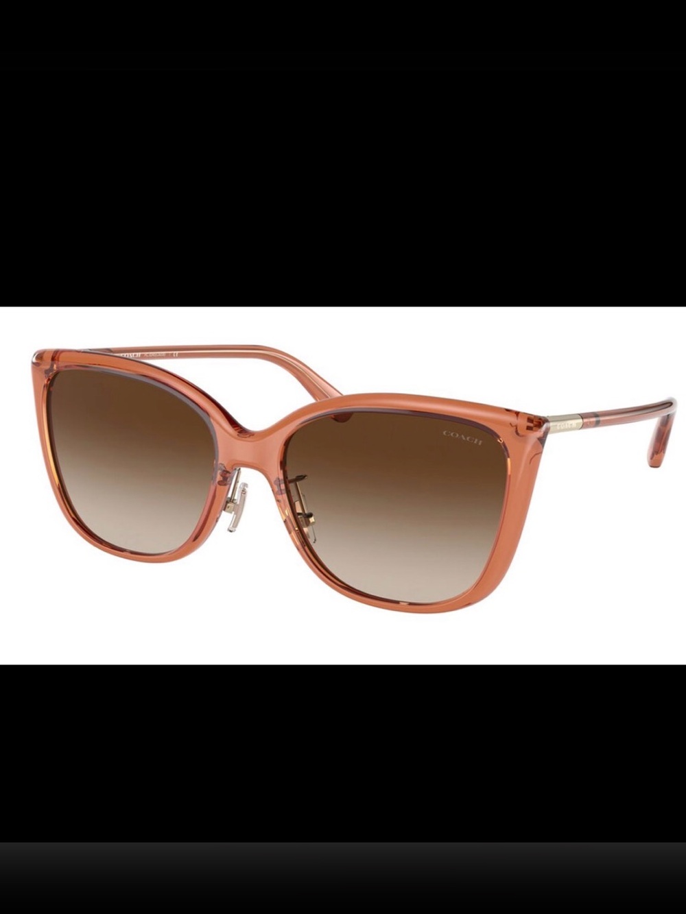 COACH Coach C9206 8345 Sunglasses Transparent Amber
